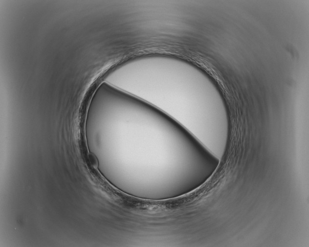X0000113600395200909181113