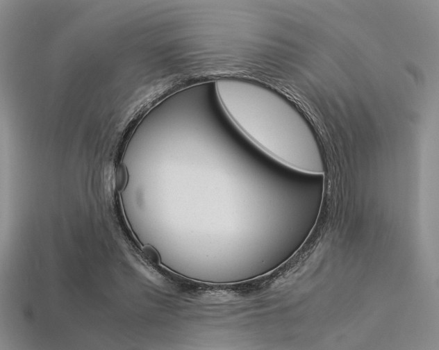 X0000113600397200909181113
