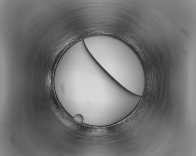 X0000113600398200909181113
