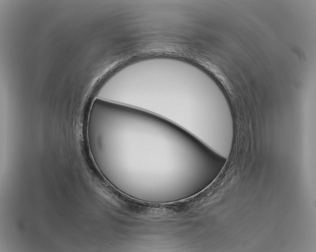 X0000113600399200909181113