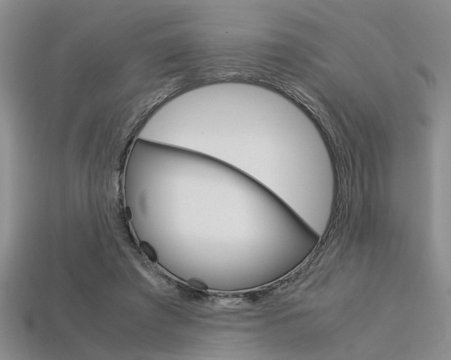 X0000113600401200909181113