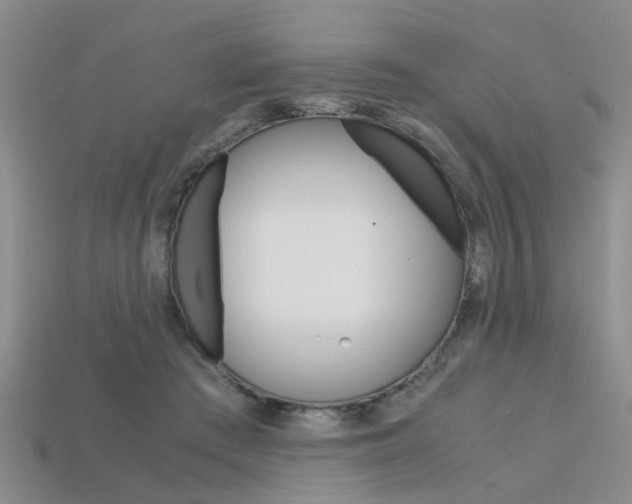 X0000113600409200909181113