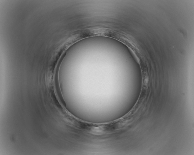 X0000113600411200909181113