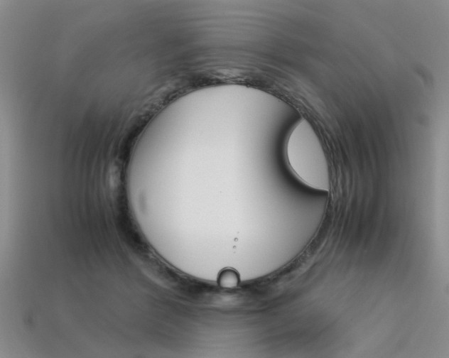 X0000113600412200909181113