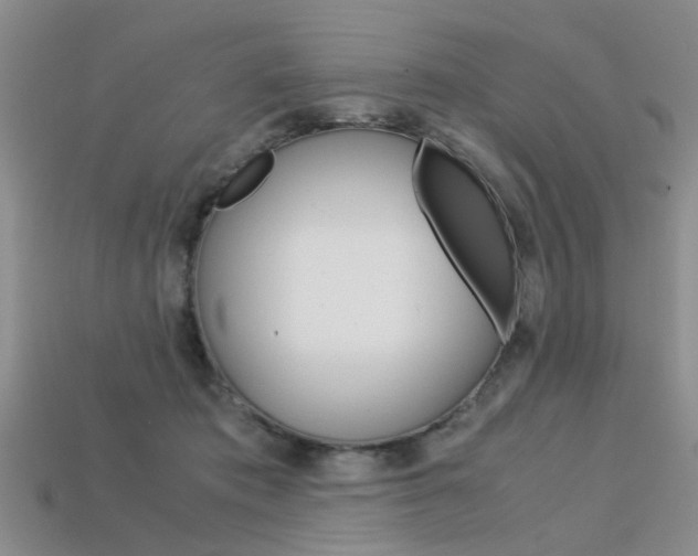 X0000113600413200909181113