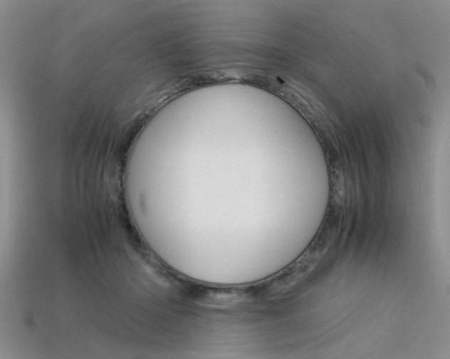 X0000113600414200909181113
