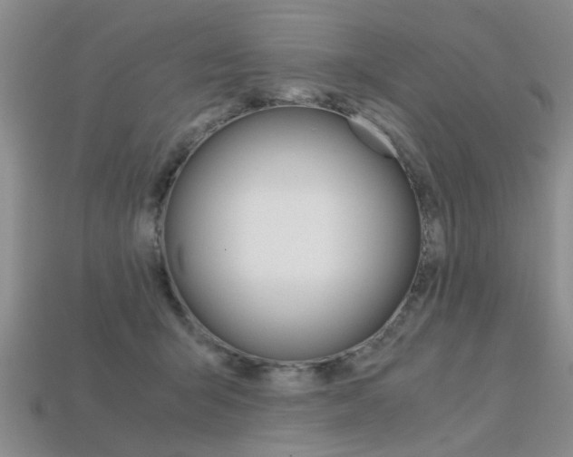 X0000113600415200909181113
