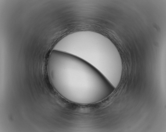 X0000113600416200909181113