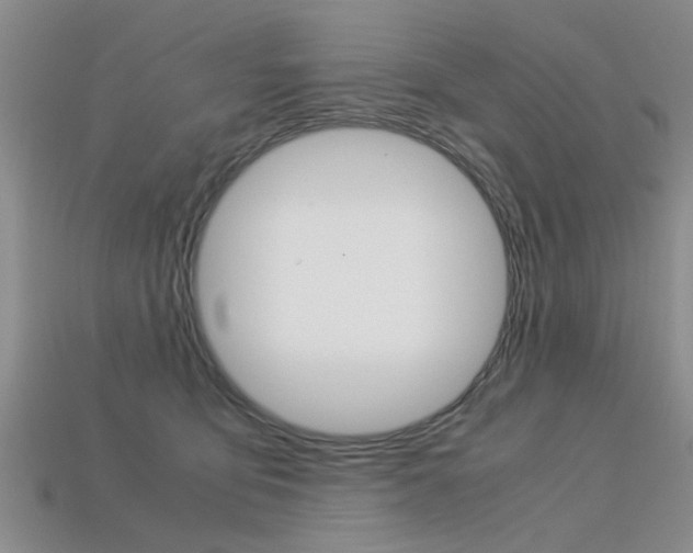 X0000113600419200909181113