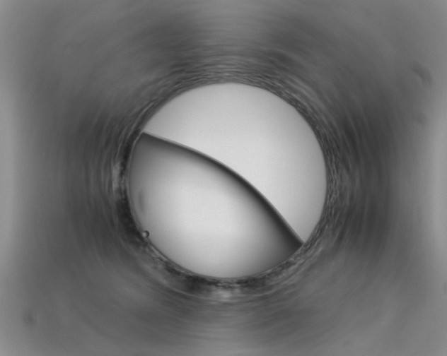 X0000113600420200909181113