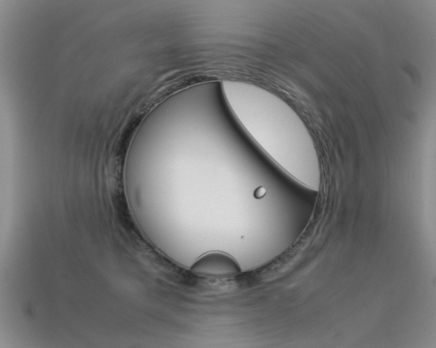 X0000113600421200909181113