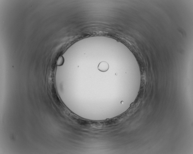 X0000113600423200909181113