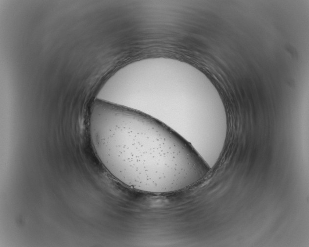 X0000113600424200909181113