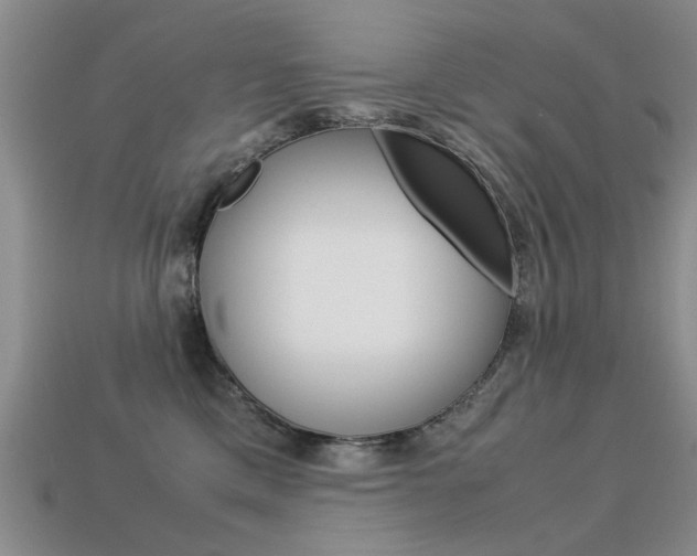 X0000113600425200909181113