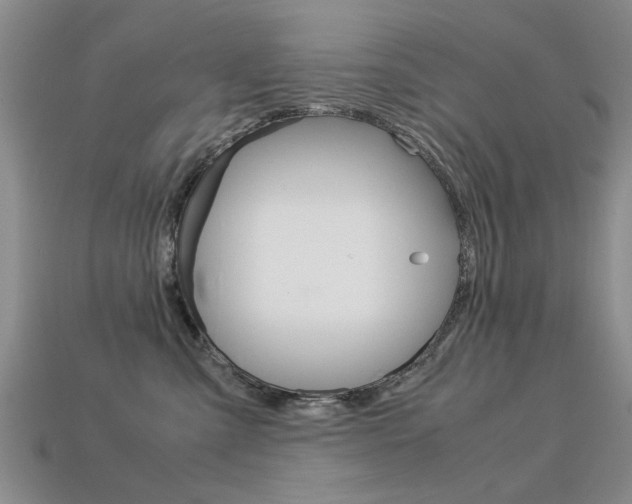 X0000113600427200909181113