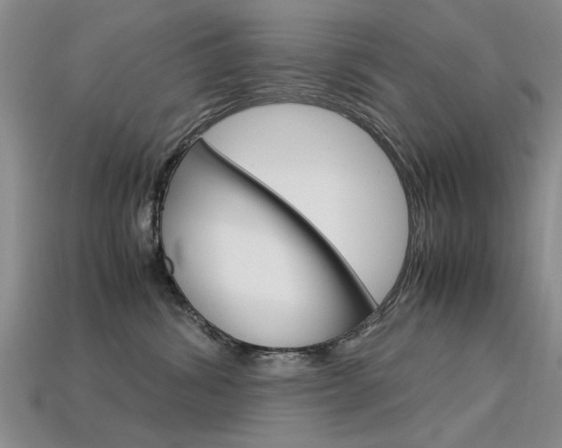 X0000113600428200909181113