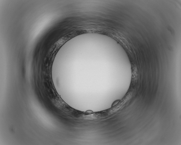 X0000113600430200909181113