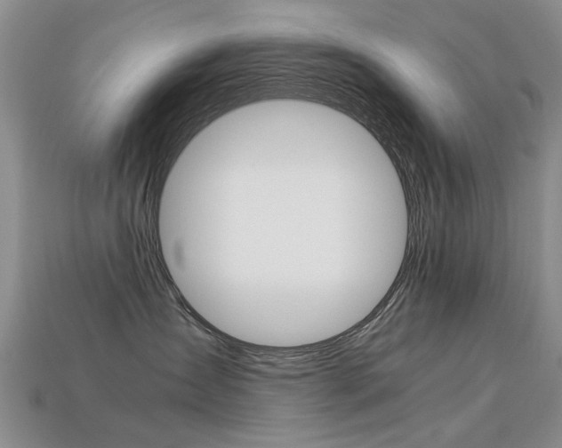 X0000113600431200909181113