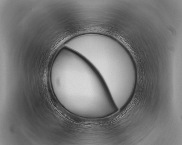 X0000113600434200909181112
