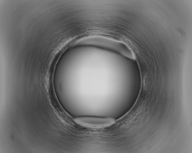 X0000113600436200909181112