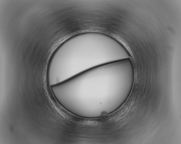 X0000113600437200909181112