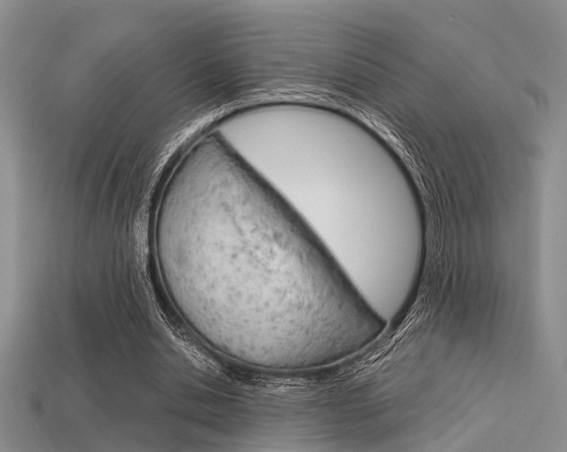 X0000113600438200909181112