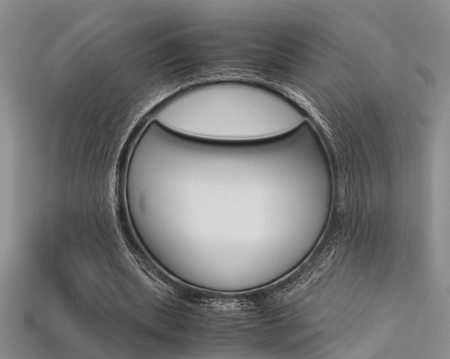 X0000113600439200909181112