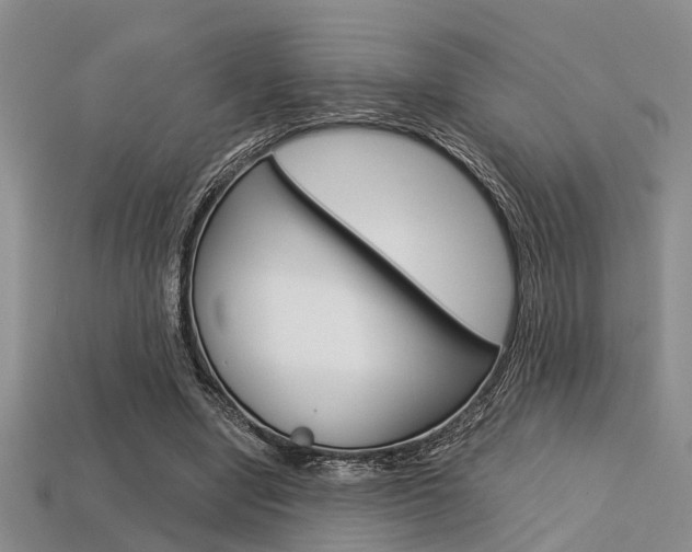 X0000113600442200909181112