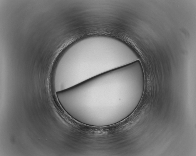 X0000113600443200909181112