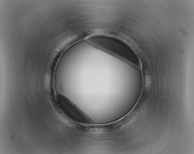 X0000113600444200909181112