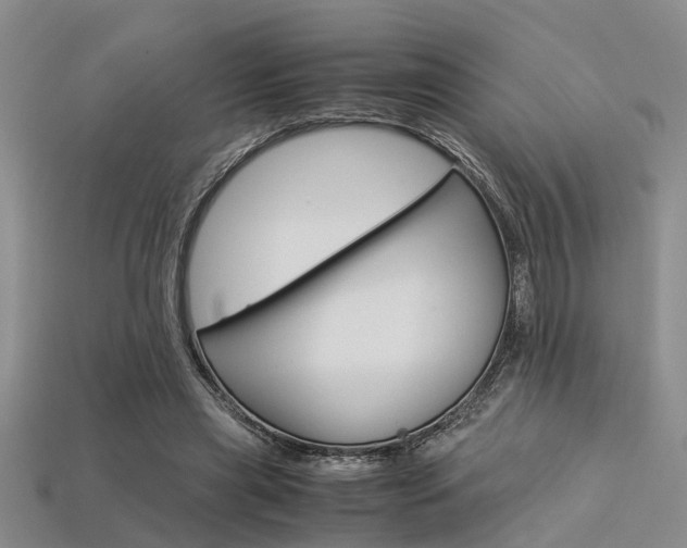 X0000113600445200909181112