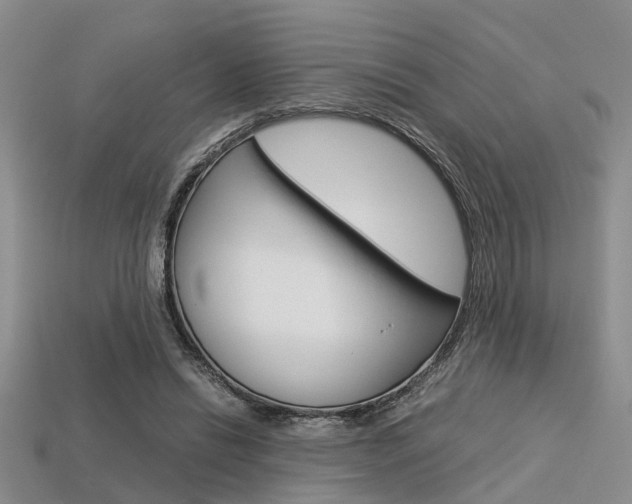 X0000113600446200909181112