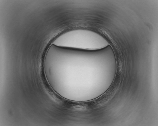 X0000113600447200909181112