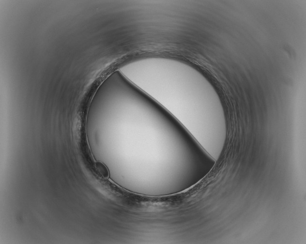 X0000113600448200909181112