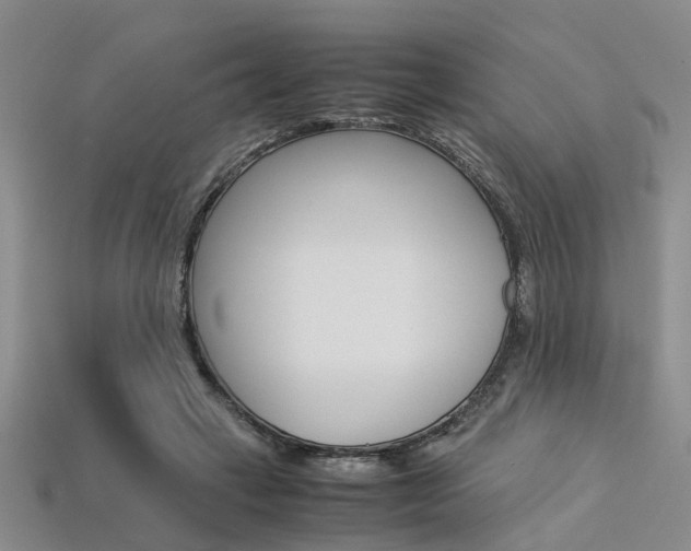 X0000113600449200909181112