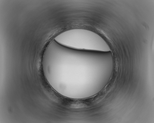 X0000113600451200909181112