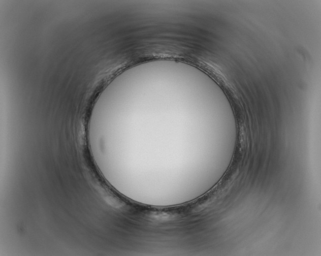 X0000113600453200909181112