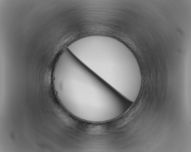 X0000113600454200909181112