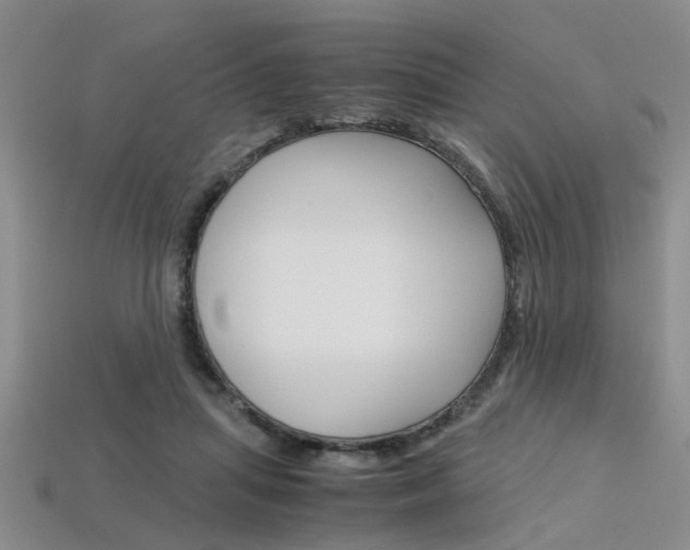X0000113600455200909181112