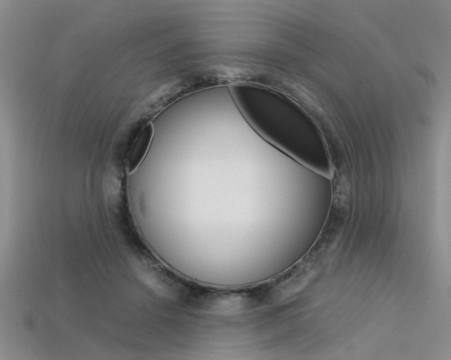 X0000113600456200909181112