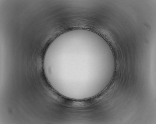 X0000113600457200909181113