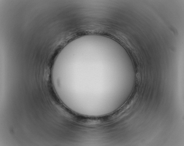 X0000113600458200909181113