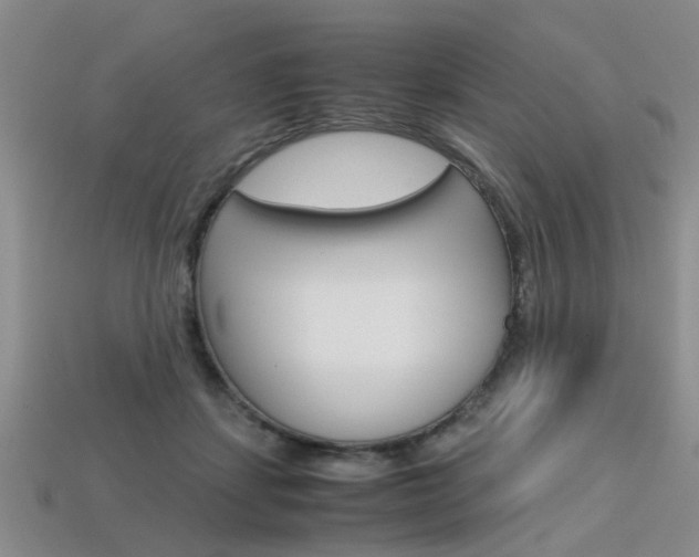 X0000113600459200909181113