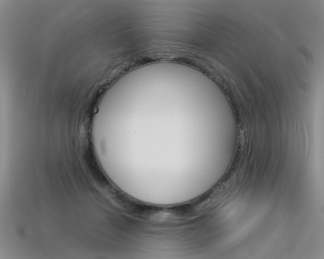 X0000113600460200909181113