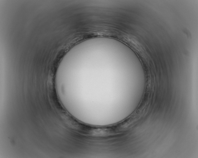 X0000113600461200909181113