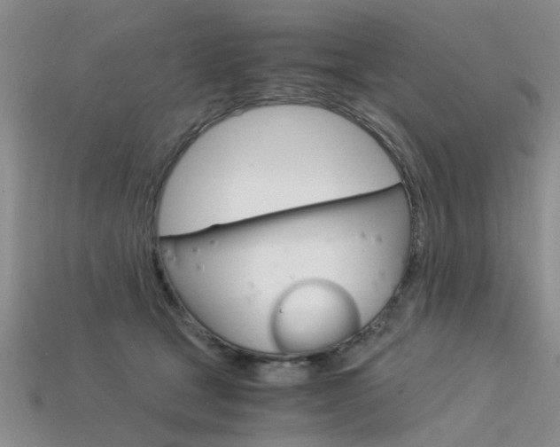 X0000113600465200909181113
