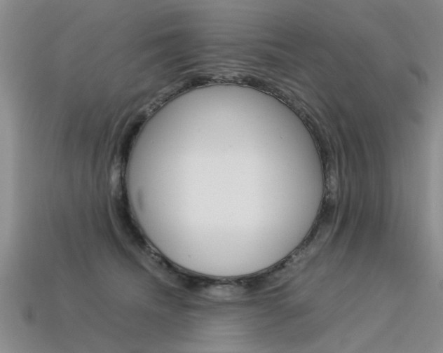 X0000113600468200909181113