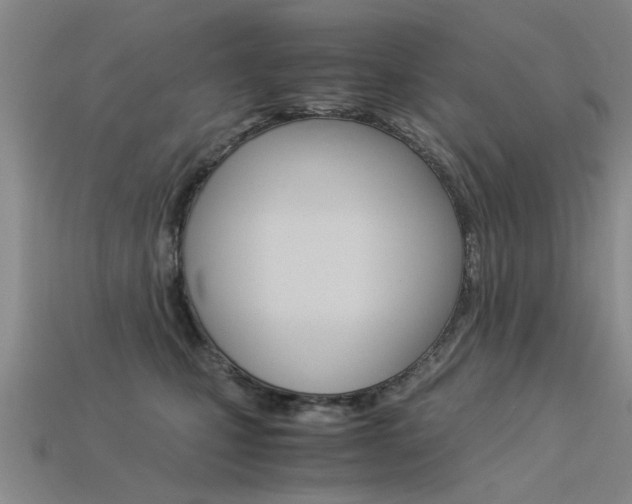 X0000113600471200909181113