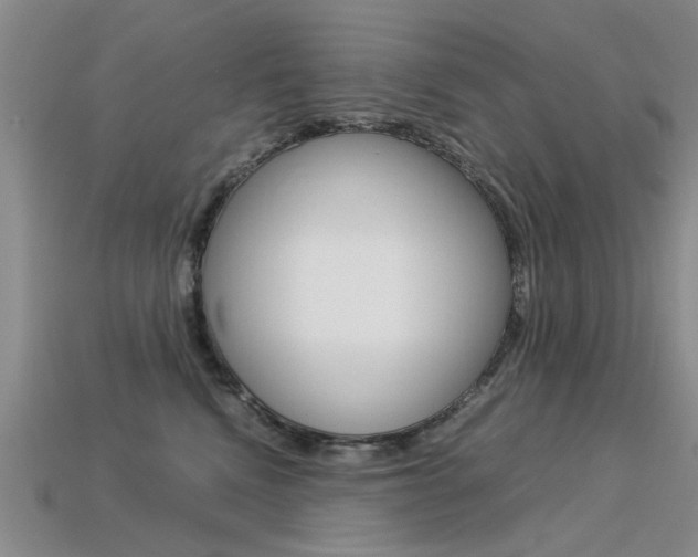 X0000113600472200909181113