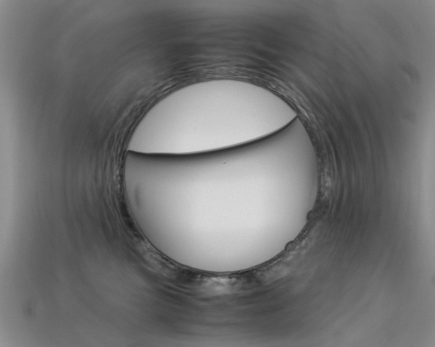 X0000113600473200909181113